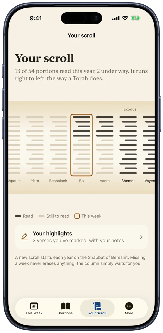 Your scroll: the year's portions drawn as columns of a Torah scroll, the ones you've read filled in